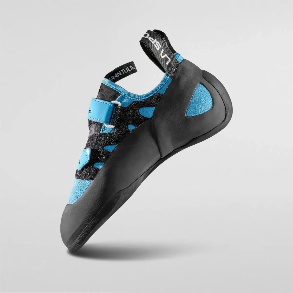 Tarantula Woman Tarantula Woman