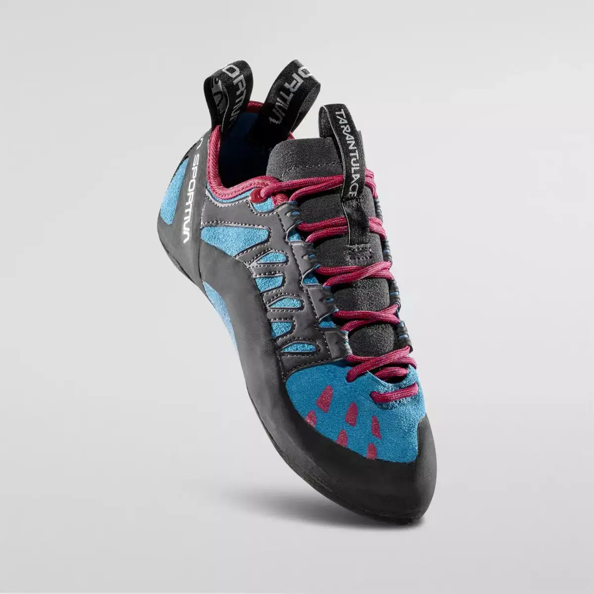 Tarantulace Woman Tarantulace Woman